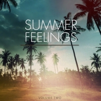 VA - Summer Feelings Vol. 2 (Tracks Of A Endless Summer) (2016) MP3