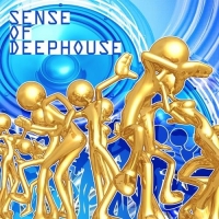 VA - Sense Of Deephouse (2016) MP3