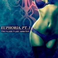 VA - Euphoria Pt.3: The House Music Selection (2016) MP3