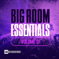 VA - Big Room Essentials, Vol. 01 (2016) MP3