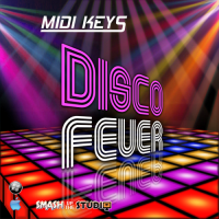 VA - Disco Fever Reality (2016) MP3