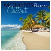 VA - Moments in Paradise Chillout (2016) MP3