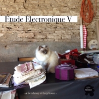 VA - Etude Electronique V - A French Way of Deep House (2016) MP3