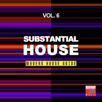 VA - Substantial House Vol 6 Modern House Guide (2016) MP3