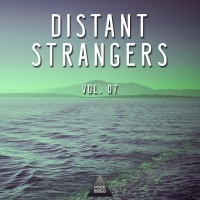 VA - Distant Strangers Vol 7 (2016) MP3