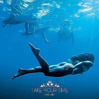 VA - Take Your Time [Chill Vibe] (2016) MP3