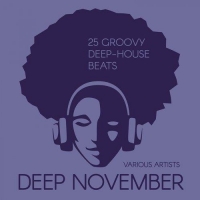 VA - Deep November: 25 Groovy Deep-House Beats (2016) MP3