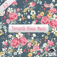 VA - Versatile House Music Vol. 12 (2016) MP3