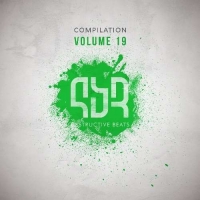 VA - Destructive Compilation, Vol. 19 (2016) MP3