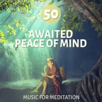 VA - 50 Awaited Peace of Mind: Music for Meditation (2016) MP3