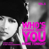 VA - Who's Gonna Drive You Home Tonight (2016) MP3