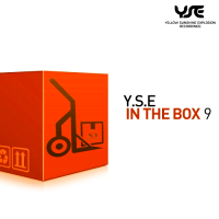 VA - Y.S.E. In the Box Vol 9 (2016) MP3