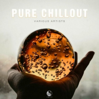 VA - Pure Chillout (2016) MP3