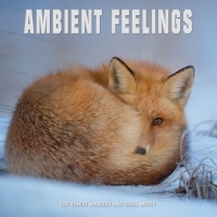 VA - Ambient Feelings: The Finest Ambient and Chill Music (2016) MP3