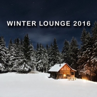 VA - Winter Lounge (2016) MP3