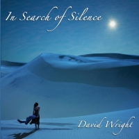 David Wright - In Search of Silence (2011) MP3