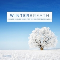 VA - Winterbreath Vol.3 [Chilled Lounge Tunes For The Winter Season] (2016) MP3