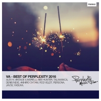 VA - Best of Perplexity (2016) MP3