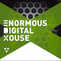VA - Enormous Digital Reading House (2017) MP3