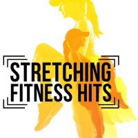 VA - Stretching League Fitness Hits (2017) MP3