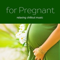 VA - Music for Pregnant Women: Soft Relaxing Chill for those expecting a baby (2017) MP3