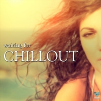 VA - Waiting For Chillout (2017) MP3