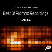 VA - Best Of Promind Recordings 2016 (2017) MP3