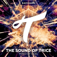 VA - The Sound Of Trice (Mixed By Vigel) (2016) MP3