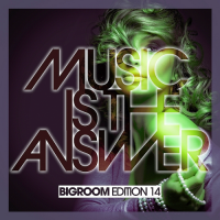 VA - Music Is The Answer - Bigroom Edition 14 (2017) MP3