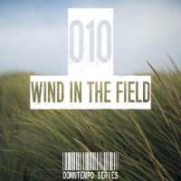 VA - Wind In The Field (Downtempo Series) Vol.010 (2017) MP3