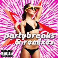 VA - Partybreaks and Remixes 1001 (2017) MP3