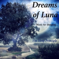 The Sleep Principle - Dreams of Luna (Music for Sleeping) (2016) MP3