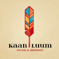 Kaan Luum - Potala Mousse (2015) MP3
