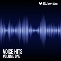VA - Voice Hits Vol 1 (2017) MP3
