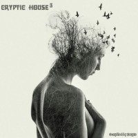 VA - Cryptic House 3 [Compiled by Zebyte] (2017) MP3