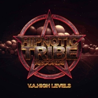 VA - High Levels (2017) MP3