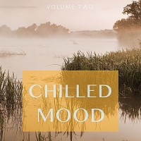 VA - Chilled Mood Vol.2 (2017) MP3