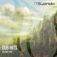 VA - Dub Hits Vol.4 (2017) MP3