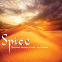 VA - Spice (2016) MP3