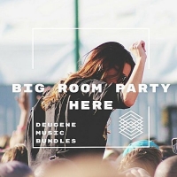VA - Big Room Party Here (2017) MP3