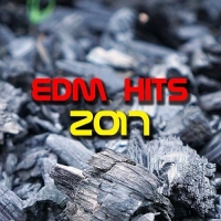VA - EDM Hits 2017 (2017) MP3