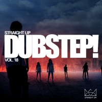VA - Straight Dubstep Vol.18 (2017) MP3