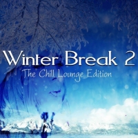 VA - Winter Break 2: The Chill Lounge Edition (2017) MP3