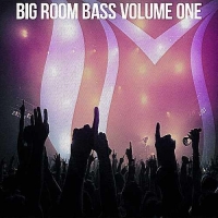 VA - Big Room Bass Vol.1 (2017) MP3