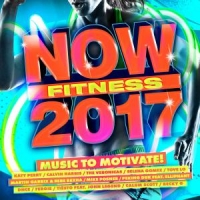 VA - NOW Fitness 2017 (2017) MP3