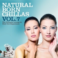 VA - Natural Born Chillas Vol. 7 (2017) MP3