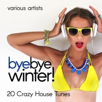 VA - Bye Bye Winter! (20 Crazy House Tunes) (2017) MP3