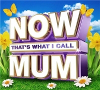 VA - NOW That's What I Call Mum (2017) MP3
