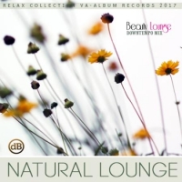 VA - Natural Lounge Music (2017) MP3