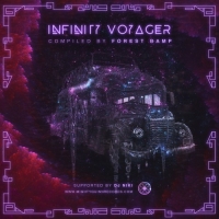 VA - Infinity Voyager (2017) MP3
